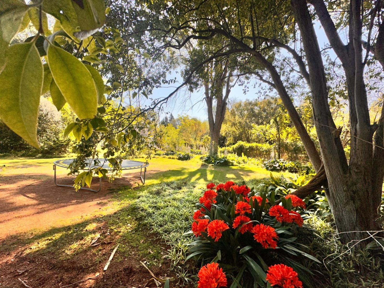 Farm Stay At Saffron Cottage On Haldon Estate Bloemfontein Buitenkant foto